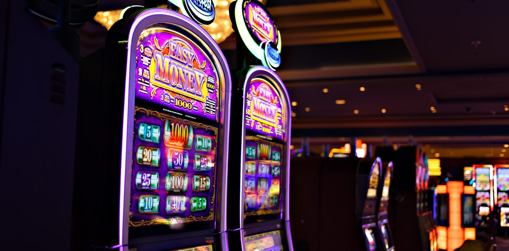 Slot88 Revelations From Reels to Riches