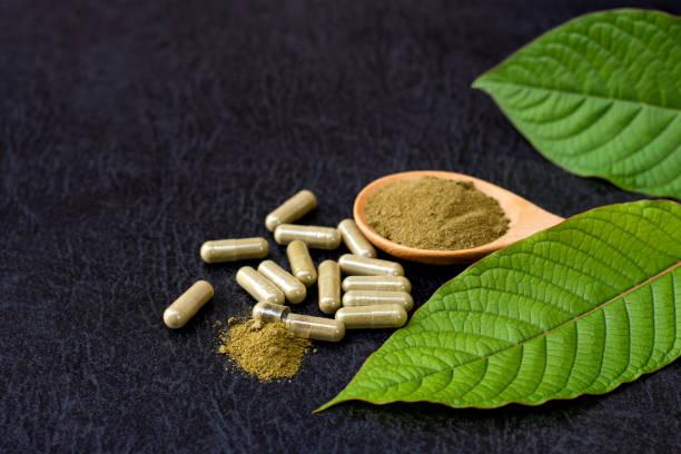 Finding the Best Kratom Powder for Your Needs